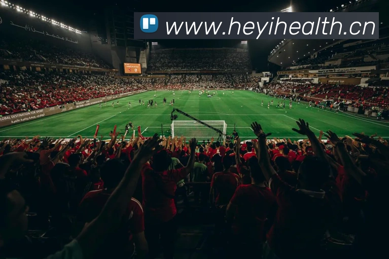 华会体育官网平台生态图